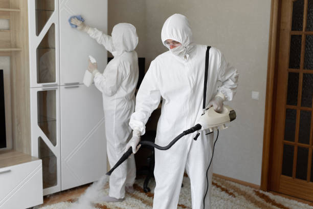 24/7 Emergency Odor Removal experts in Alton, TX